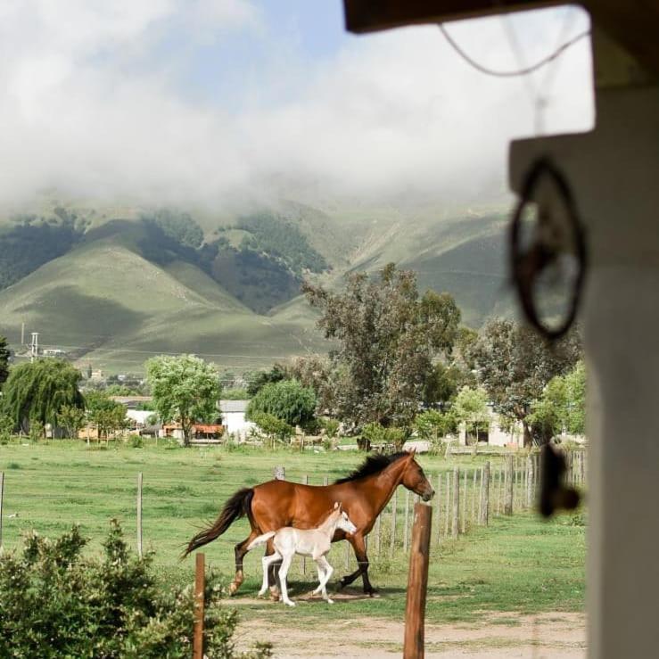 Entre Montanas Apartman Tafí del Valle Kültér fotó