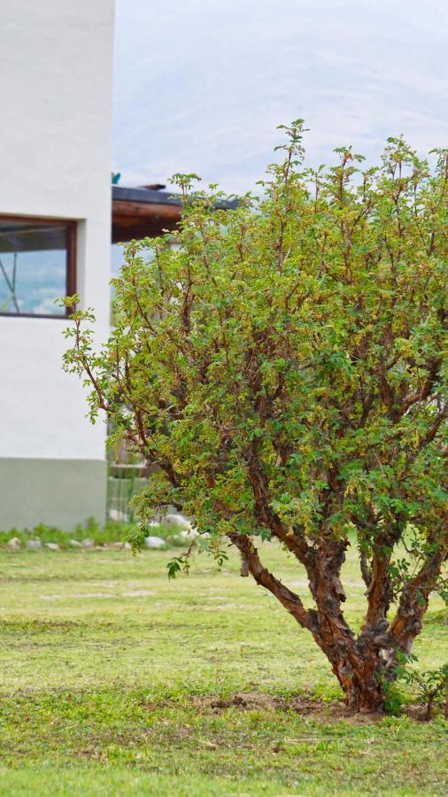 Entre Montanas Apartman Tafí del Valle Kültér fotó